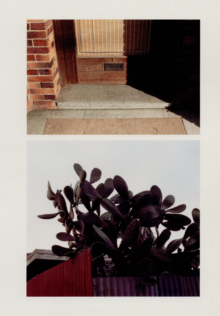 CoburgPlan-CactusDoorstep